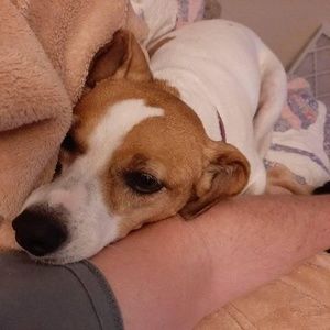 Meet your Posher, Cameron